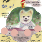 2025 秋セール🍁