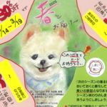 2025　春セール🌸